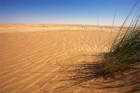 simsearch:400-04584886,k - Oranhe sahara desert in Mauritania Stock Photo - Budget Royalty-Free & Subscription, Code: 400-04817175