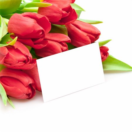 simsearch:400-04340566,k - bouquet of red tulips isolated on white Photographie de stock - Aubaine LD & Abonnement, Code: 400-04817319