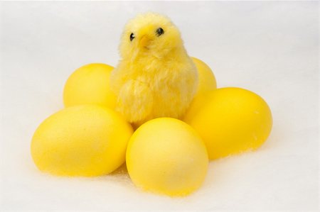 simsearch:400-07217084,k - yellow chicken on white Photographie de stock - Aubaine LD & Abonnement, Code: 400-04817322