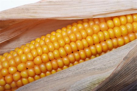 dried crop field - An ear of ripe corn Stock Photo - Budget Royalty-Free & Subscription, Code: 400-04817440