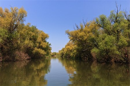 simsearch:400-09275531,k - a river channel in Danube Delta, Romania Foto de stock - Super Valor sin royalties y Suscripción, Código: 400-04817694