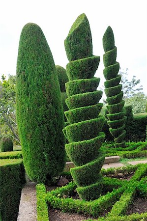 Decorative green park - Botanical garden Funchal, Madeira Stock Photo - Budget Royalty-Free & Subscription, Code: 400-04818002