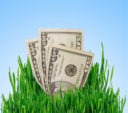 simsearch:400-05384689,k - Growing money in green grass over blue sky. Financial concept Stock Photo - Budget Royalty-Free & Subscription, Code: 400-04818167