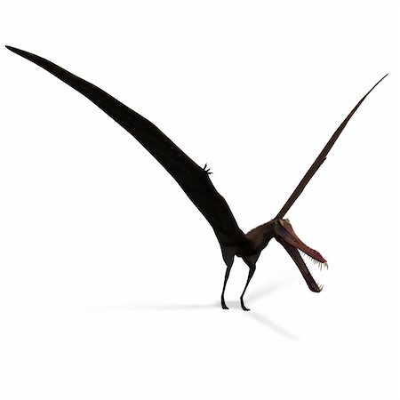 simsearch:400-04818670,k - Dinosaur Anhanguera Pterosaur. 3D rendering with clipping path and shadow over white Foto de stock - Royalty-Free Super Valor e Assinatura, Número: 400-04818670