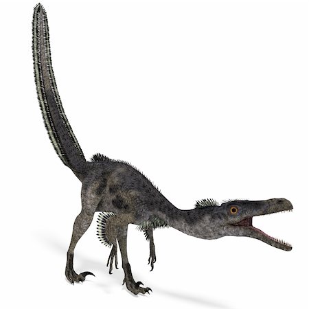 simsearch:400-04818670,k - Dinosaur Velociraptor. 3D rendering with clipping path and shadow over white Foto de stock - Royalty-Free Super Valor e Assinatura, Número: 400-04818672