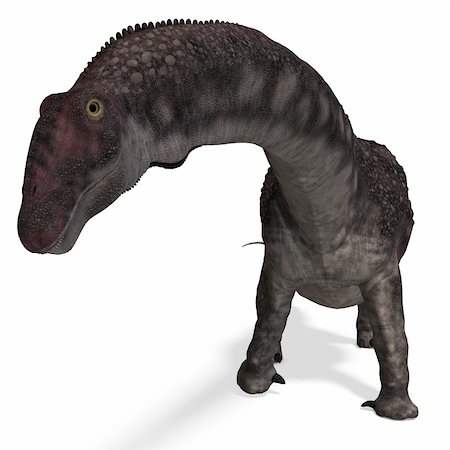 simsearch:400-04818670,k - Dinosaur Diamantinasaurus. 3D rendering with clipping path and shadow over white Foto de stock - Royalty-Free Super Valor e Assinatura, Número: 400-04818673