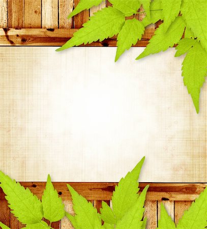 simsearch:400-04715723,k - Spring message. Grunge background with wooden frame and green leaves Photographie de stock - Aubaine LD & Abonnement, Code: 400-04818985