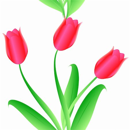 Elegance Seamless color tulips pattern on  background, vector illustration Stock Photo - Budget Royalty-Free & Subscription, Code: 400-04819285