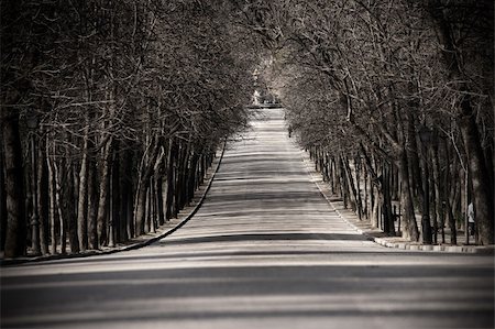 simsearch:400-04289235,k - A black and white picture of a mysterious alley in Retiro Park in Madrid, Spain Foto de stock - Super Valor sin royalties y Suscripción, Código: 400-04819292