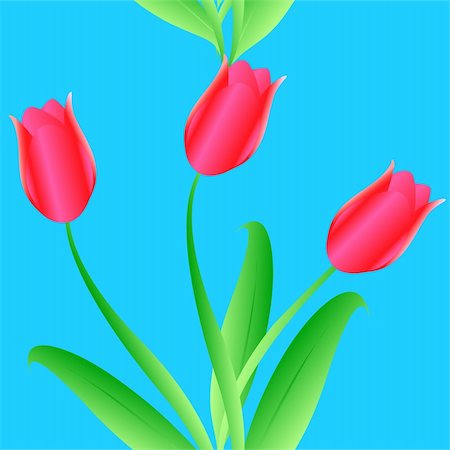 Elegance Seamless color tulips pattern on  background, vector illustration Stock Photo - Budget Royalty-Free & Subscription, Code: 400-04819300