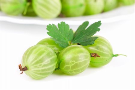 dessert gooseberry - green ripe gooseberries isolated on a white background Stock Photo - Budget Royalty-Free & Subscription, Code: 400-04810025