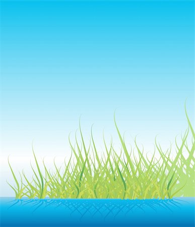 simsearch:400-05251521,k - Green grass Photographie de stock - Aubaine LD & Abonnement, Code: 400-04810120
