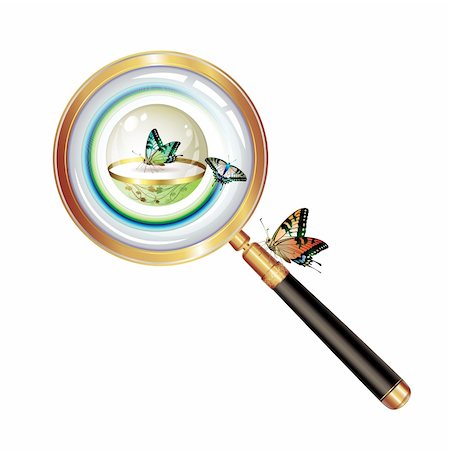 simsearch:400-04996978,k - Magnifying glass and butterfly isolated on white background Photographie de stock - Aubaine LD & Abonnement, Code: 400-04810777