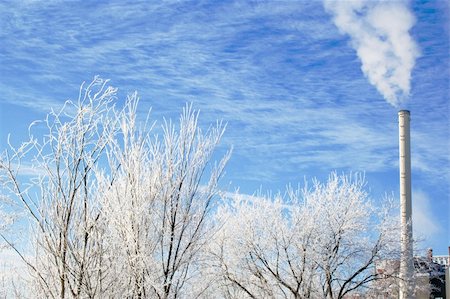simsearch:400-05306863,k - Winter scene with frosted tree branches and industrial smokestack Fotografie stock - Microstock e Abbonamento, Codice: 400-04811050