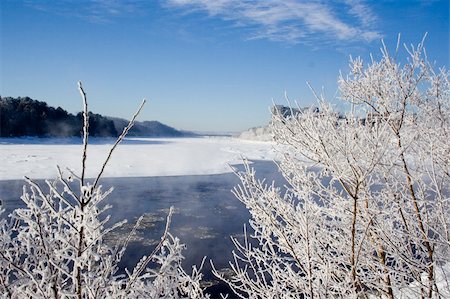 simsearch:400-05306863,k - Winter scenic of frozen river and frosty branches Fotografie stock - Microstock e Abbonamento, Codice: 400-04811051
