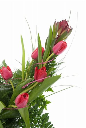 simsearch:400-04340566,k - Bouquet of beautiful red tulips isolated on white background. Stockbilder - Microstock & Abonnement, Bildnummer: 400-04812209