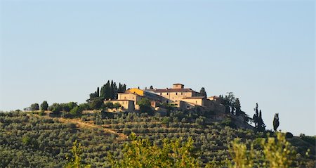 Hill Of Tuscany With Olive Plantation In The Chianti Region Stock Photo - Budget Royalty-Free & Subscription, Code: 400-04812339