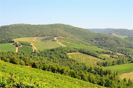 simsearch:851-02960837,k - Hill Of Tuscany With Vineyard In The Chianti Region Stock Photo - Budget Royalty-Free & Subscription, Code: 400-04812340