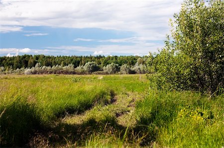 simsearch:400-04018118,k - The rural road which has grassed. Photographie de stock - Aubaine LD & Abonnement, Code: 400-04812384