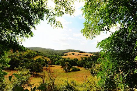 simsearch:400-06415579,k - Farmhouse Surrounded By Sloping Meadows Of Tuscany Fotografie stock - Microstock e Abbonamento, Codice: 400-04812401