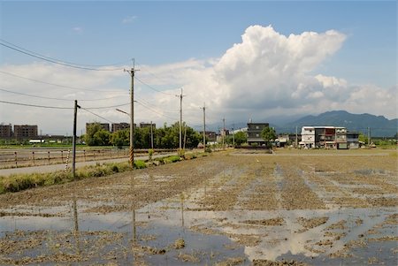 simsearch:400-04851123,k - Rural scenery with farms and water under blue sky. Foto de stock - Super Valor sin royalties y Suscripción, Código: 400-04812873