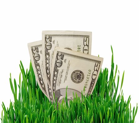 simsearch:400-05384689,k - Growing money in green grass over white background. Financial concept Stock Photo - Budget Royalty-Free & Subscription, Code: 400-04813338