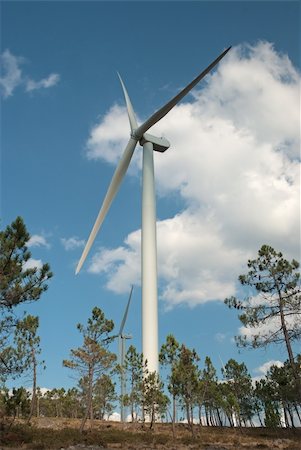 simsearch:400-04024418,k - Beautiful meadow with Wind turbines generating electricity. Fotografie stock - Microstock e Abbonamento, Codice: 400-04824021