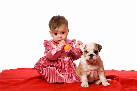 Baby and puppy of english bulldog on red blancket isolated on white Stock Photo - Budget Royalty-Free & Subscription, Code: 400-04824044