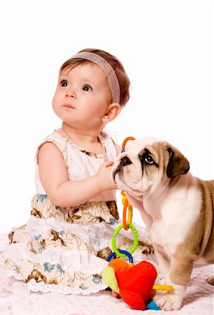 Baby and puppy of english bulldog looking up together isolated on white Stock Photo - Budget Royalty-Free & Subscription, Code: 400-04824148