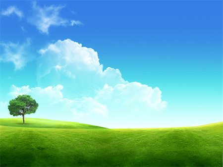 photo of lone tree in the plain - Meadow with green grass and blue sky with clouds and tree Stock Photo - Budget Royalty-Free & Subscription, Code: 400-04824305