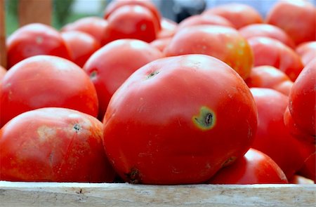 simsearch:695-03387306,k - Tomatoes on a market stall Stock Photo - Budget Royalty-Free & Subscription, Code: 400-04824345