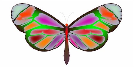 simsearch:400-04513601,k - butterfly cartoon, vector art illustration Fotografie stock - Microstock e Abbonamento, Codice: 400-04824456