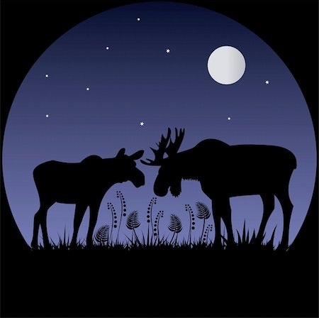 Illustration of Two elks in moonlight. silhouettes Stockbilder - Microstock & Abonnement, Bildnummer: 400-04824589