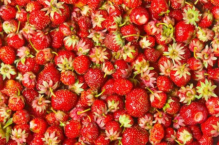 simsearch:400-06076486,k - heap red strawberries, tasty background Foto de stock - Royalty-Free Super Valor e Assinatura, Número: 400-04825300