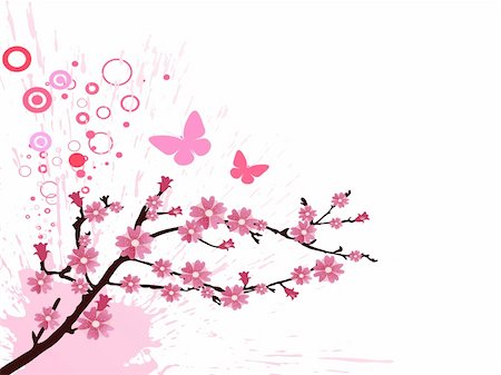 vector 10 eps illustration of a branch with cherry blossom Stock Photo - Budget Royalty-Free & Subscription, Code: 400-04829465