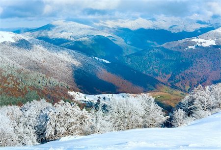 October mountain beech forest edge with first winter snow and last autumn colourful foliage on far mountainside Stock Photo - Budget Royalty-Free & Subscription, Code: 400-04820240