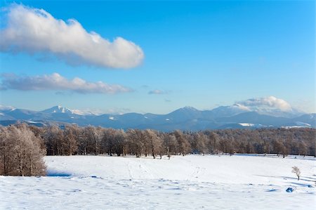 simsearch:400-05713513,k - October mountain beech forest edge and first winter snow (Goverla Mount in far, Ukraine) Stock Photo - Budget Royalty-Free & Subscription, Code: 400-04820242