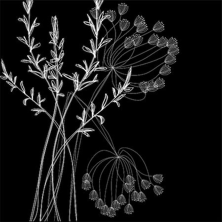 simsearch:400-04698000,k - White field flowers on black background Fotografie stock - Microstock e Abbonamento, Codice: 400-04820256