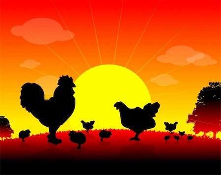 simsearch:400-04351992,k - farm animals, Herd of Hens, cock, chickens on nature background, sun, tree, bird Foto de stock - Super Valor sin royalties y Suscripción, Código: 400-04820583