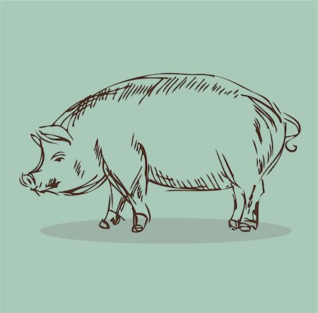 side view of pig - Pig Vector Illustration Stock Photo - Budget Royalty-Free & Subscription, Code: 400-04821555