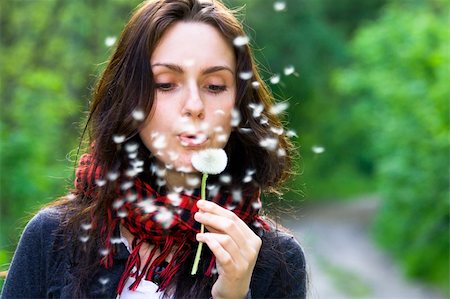 Girl blowing on white dandelion in the forest Stock Photo - Budget Royalty-Free & Subscription, Code: 400-04822669