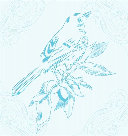 Detailed illustration of a Bluebird sitting on a branch, against a decorative background. The bird and the branch are on separate layers. This is a vector file, and requires programs such as Adobe Illustrator, Macromedia Freehand, or CorelDraw to edit it. The file is scalable to any size with the correct software. Stockbilder - Microstock & Abonnement, Bildnummer: 400-04823462