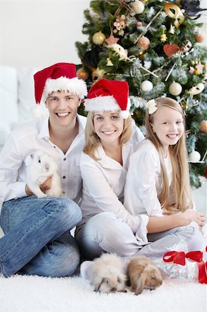 Family Christmas in caps with the rabbits at home Stock Photo - Budget Royalty-Free & Subscription, Code: 400-04823952