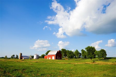farm silo barn - Typical farm in Central Indiana on a bright summer day Stock Photo - Budget Royalty-Free & Subscription, Code: 400-04834069