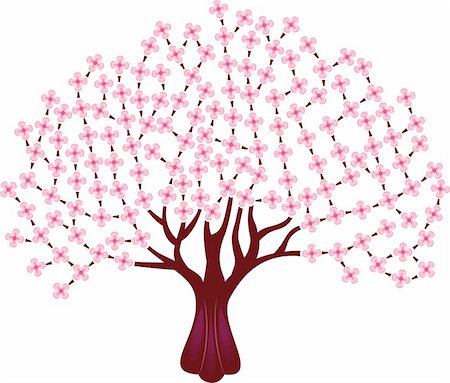 vector illustration - spring tree with cherry blossom Foto de stock - Royalty-Free Super Valor e Assinatura, Número: 400-04834190