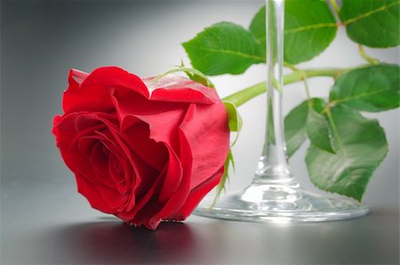 Red rose with green leaves arranged near wineglass close-up Stock Photo - Budget Royalty-Free & Subscription, Code: 400-04834798