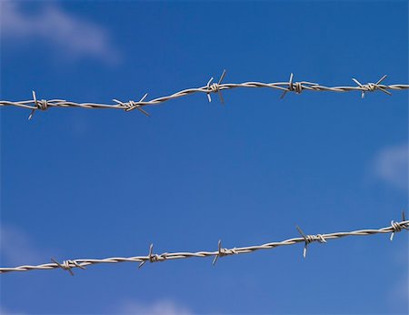 Barbed wire on a blue sky Photographie de stock - Aubaine LD & Abonnement, Code: 400-04834900