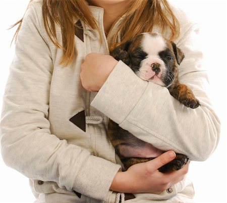 simsearch:400-05352235,k - child holding puppy - girl hanging on to english bulldog puppy Photographie de stock - Aubaine LD & Abonnement, Code: 400-04835259