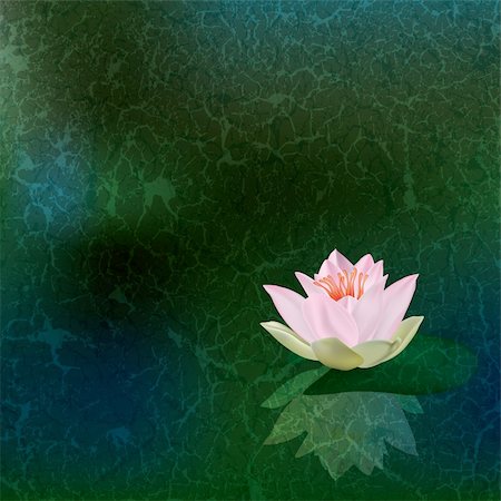 abstract floral illustration with pink lotus on green Fotografie stock - Microstock e Abbonamento, Codice: 400-04835368