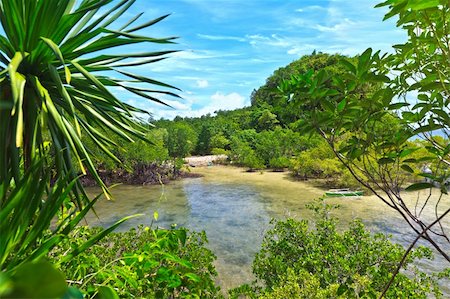 Tropical lagoon with Mangroves and small boats. Bohol. Philippines Stock Photo - Budget Royalty-Free & Subscription, Code: 400-04836056